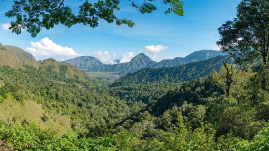 hutan pisuk dengan pemandangan alam untuk tempat wisata lombok untuk keluarga