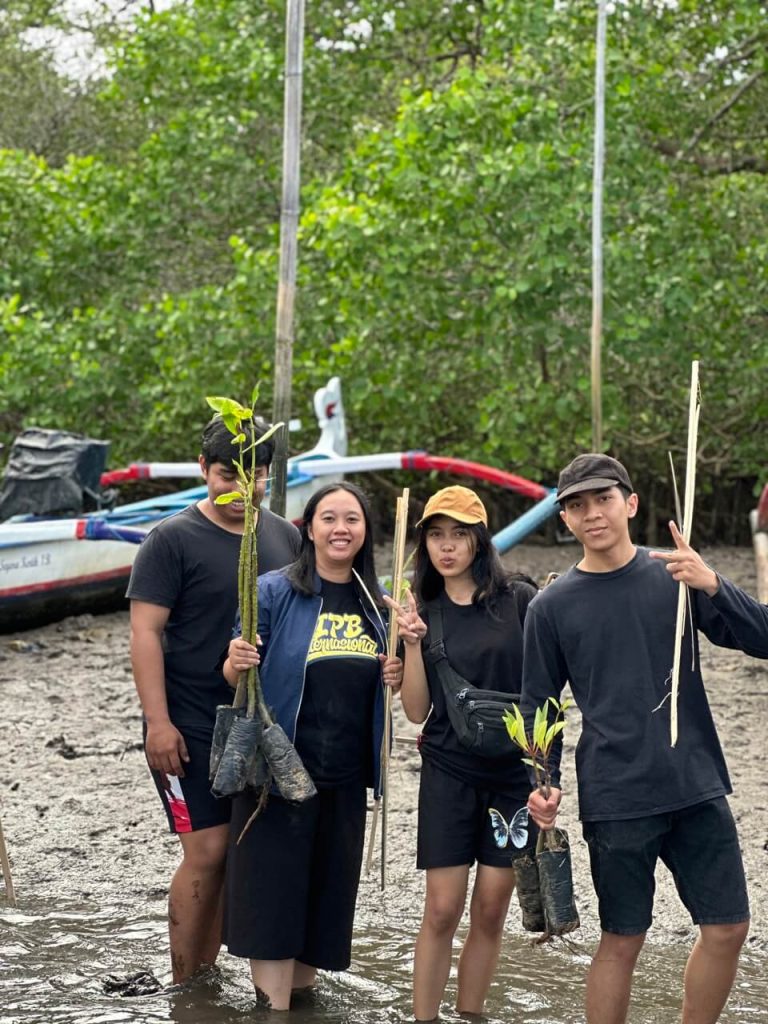 menanam mangrove untuk perangi krisis iklim